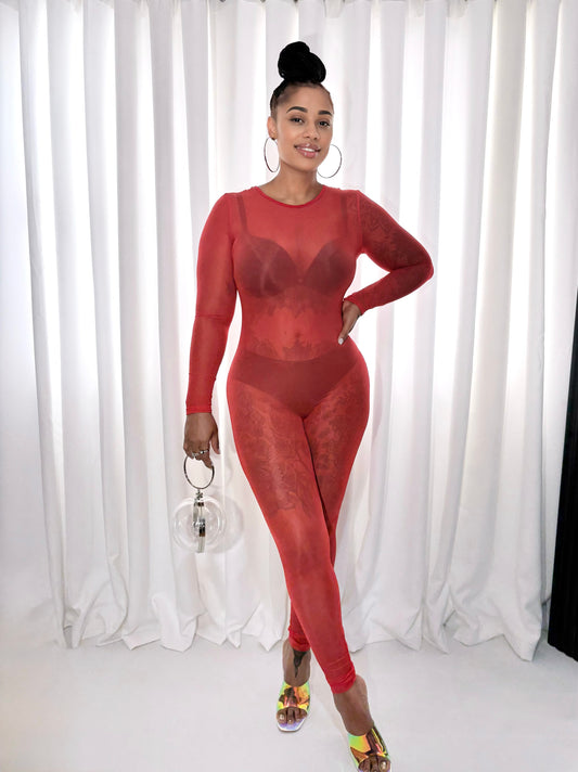 Fire Desire Sheer Mesh Jumpsuit