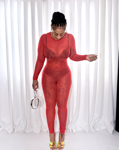 Fire Desire Sheer Mesh Jumpsuit