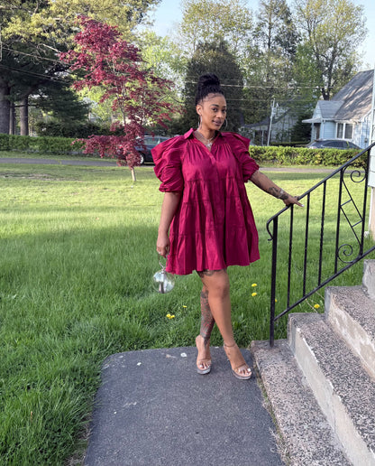 Paulette Bold Beauty Puff Sleeve Dress