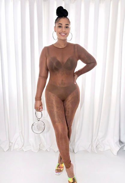 Smokey Sheer Mesh Jumpsuit