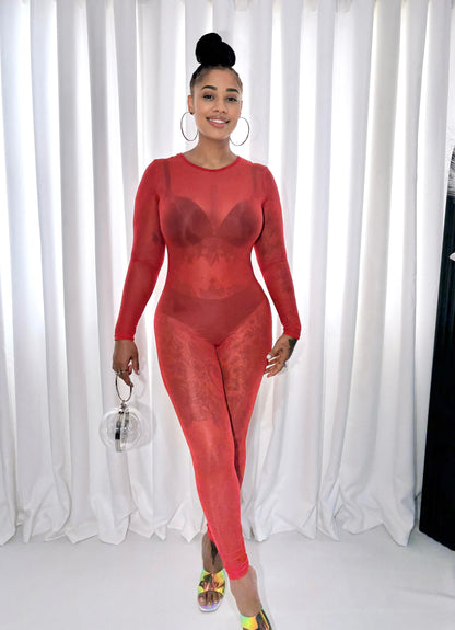Fire Desire Sheer Mesh Jumpsuit