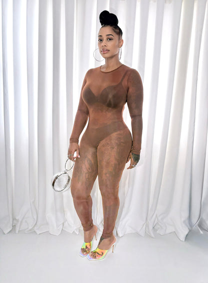 Smokey Sheer Mesh Jumpsuit