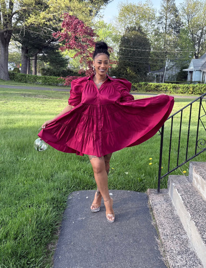 Paulette Bold Beauty Puff Sleeve Dress