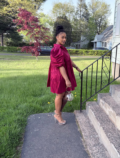Paulette Bold Beauty Puff Sleeve Dress