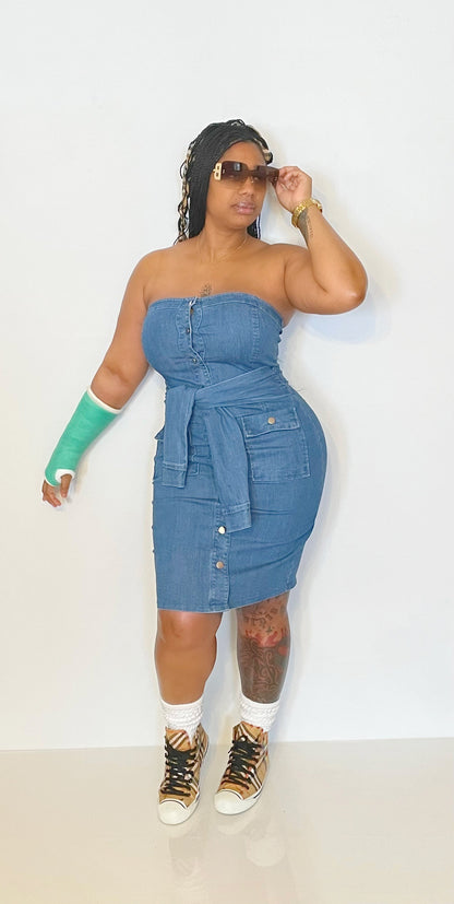 Indenial Denim Dress