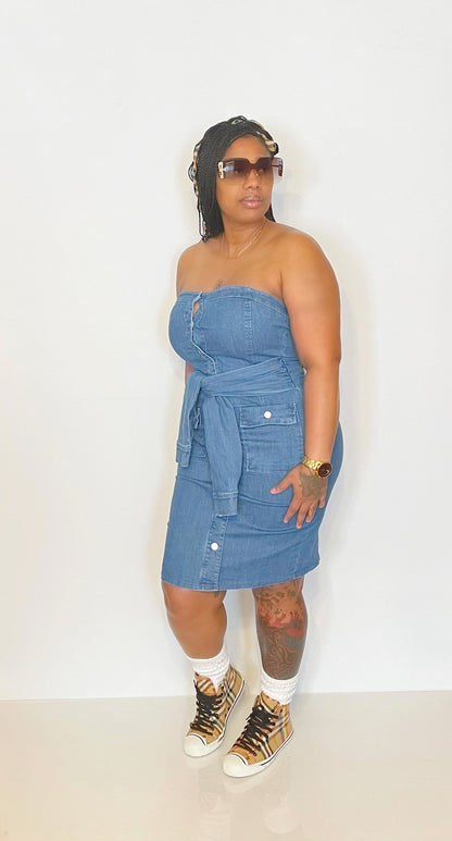 Indenial Denim Dress