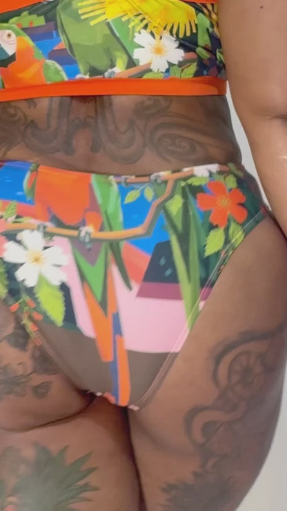 Rain Forest Swim Set